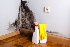 Wharton, TX Mold Inspection Company